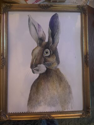 Watercolour Hare